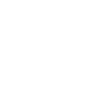 Safe Box Icon